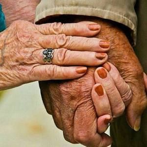 Meet your Posher, Gharibeh